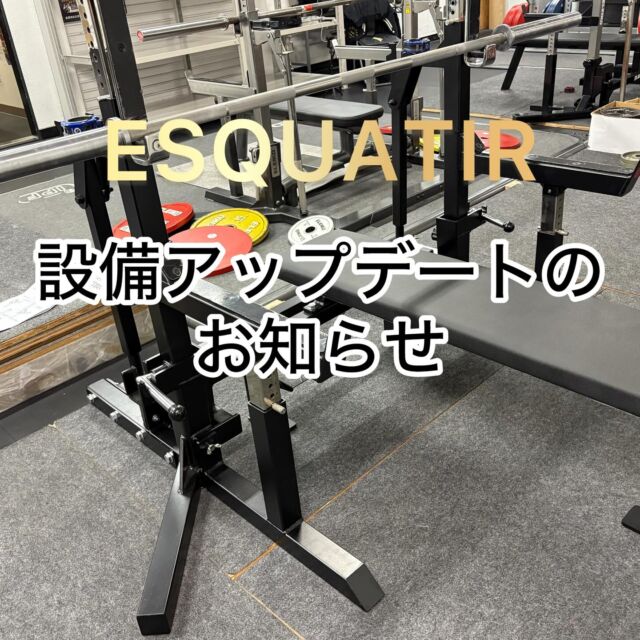 基礎から始める横浜でウエイトトレーニングなら【ESQUATIR】
